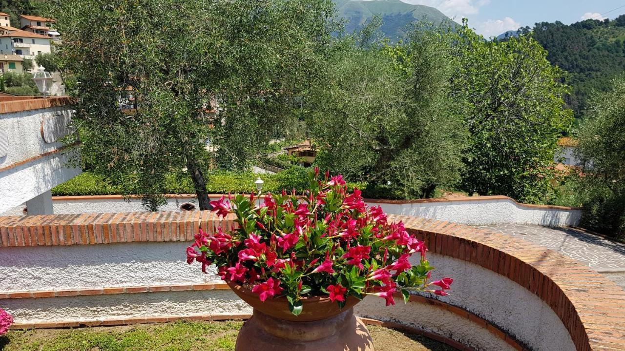 Вилла Casa Vittoria Corsanico-Bargecchia Экстерьер фото