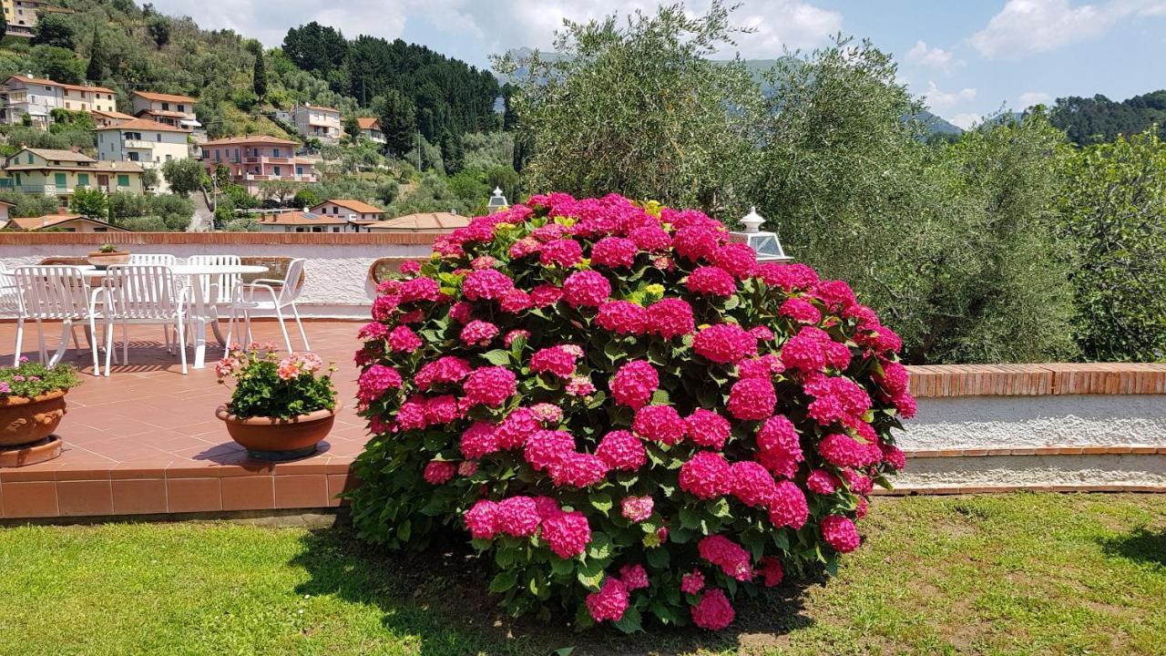 Вилла Casa Vittoria Corsanico-Bargecchia Экстерьер фото