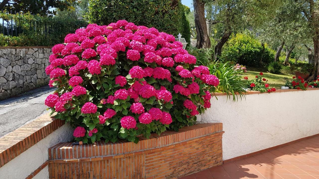 Вилла Casa Vittoria Corsanico-Bargecchia Экстерьер фото